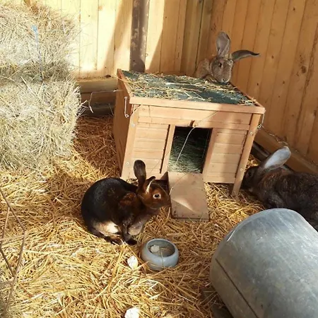 公寓 Heufelder Hof