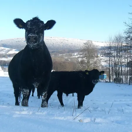 Heufelder Hof Ehrenberg (Hessen)