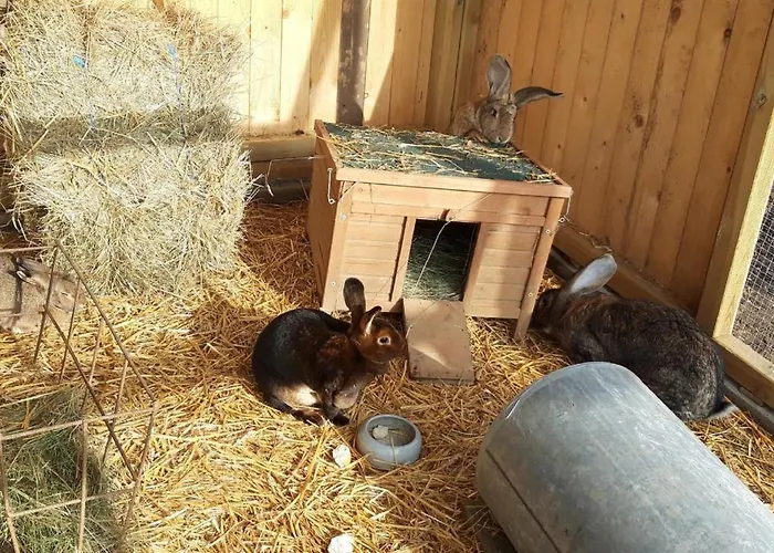 Апартаменты Heufelder Hof