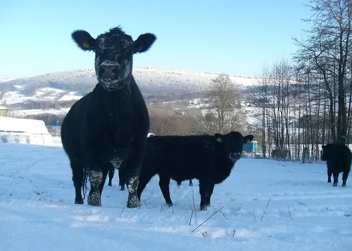Heufelder Hof Ehrenberg (Hessen)